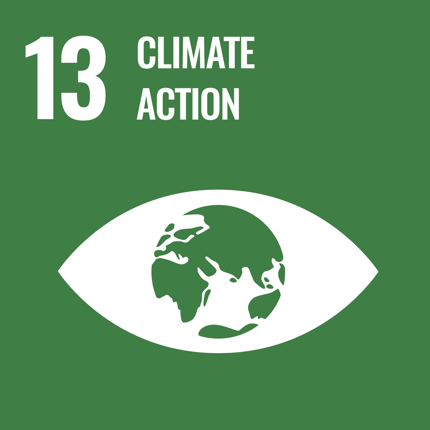 UN Development Goal 13