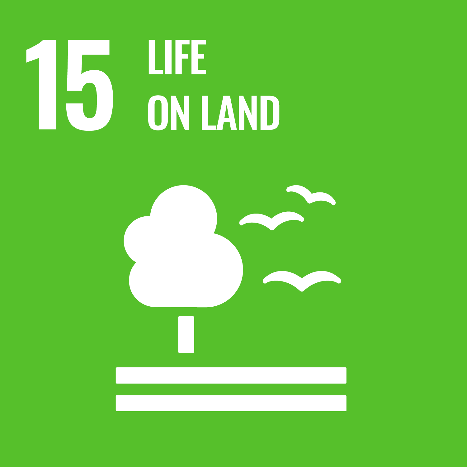UN Development Goal 15