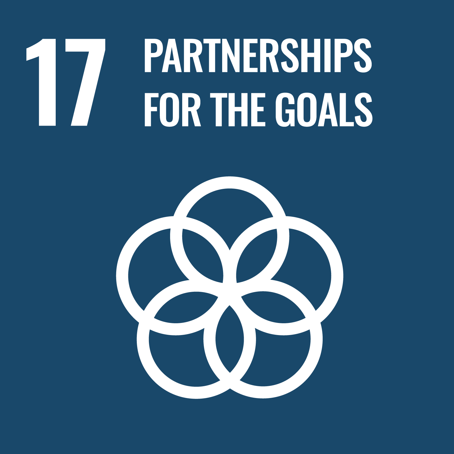 UN Development Goal 17
