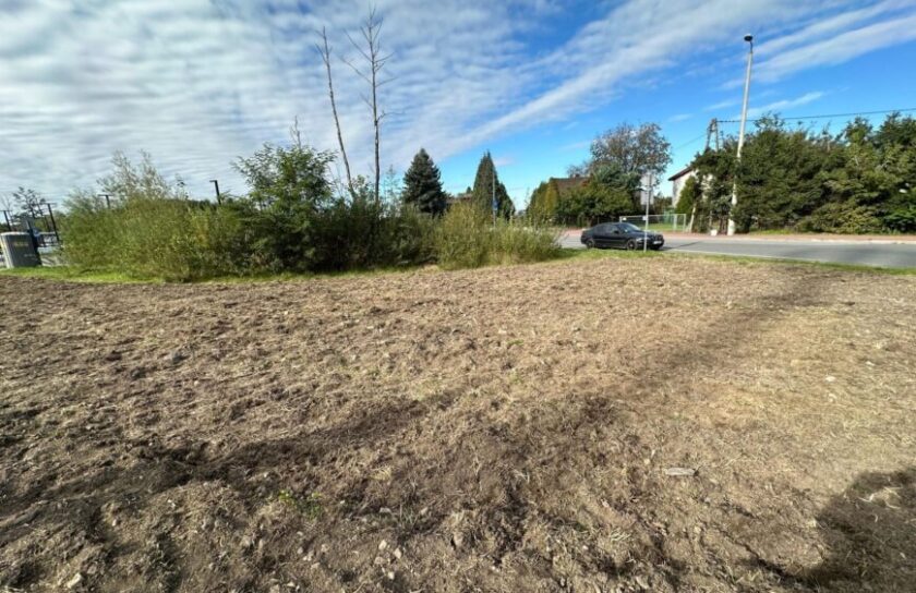 IMG-20241002-WA0028-870x563