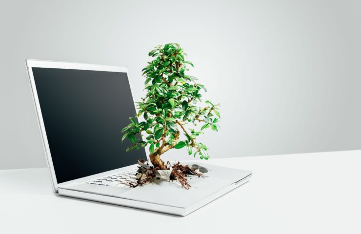 bonsai-tree-growing-out-from-laptop-studio-against-grey-background-bonsai-tree-growing-out-from-laptop-studio-against-grey-background