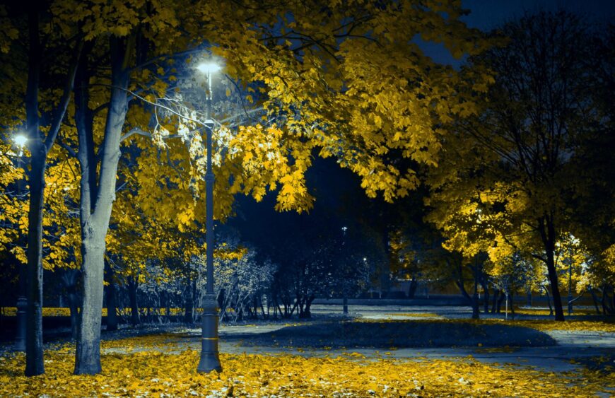 obrazek wyrożniajacy