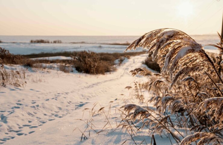 sunset-view-snowy-winter