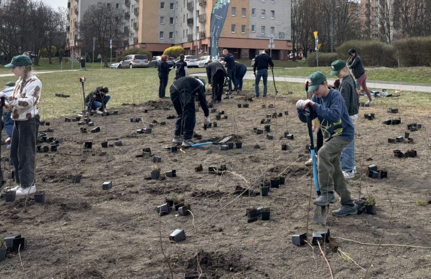 25.03
