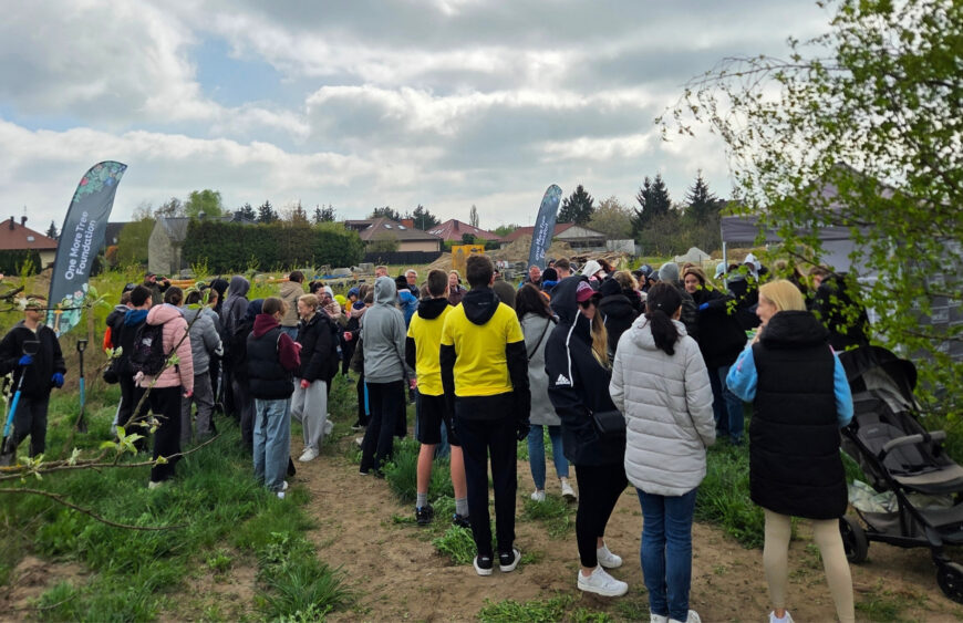 25.04