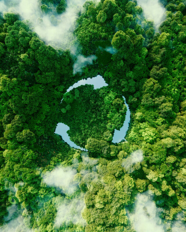 abstract-icon-representing-ecological-call-recycle-reuse-form-pond-with-recycling-symbol-middle-beautiful-untouched-jungle-3d-rendering