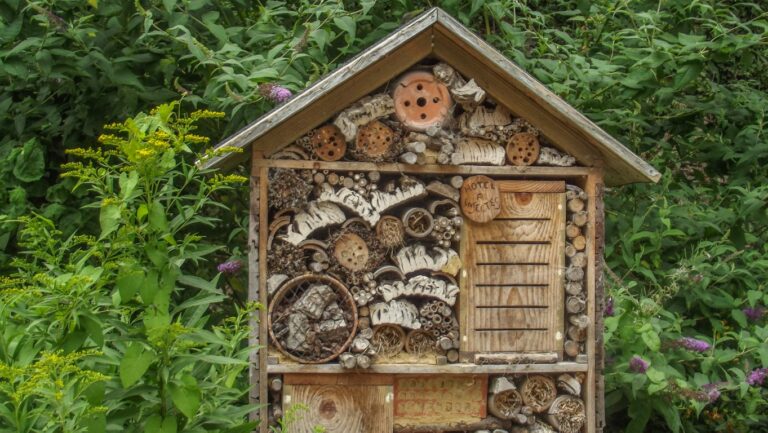 wooden-bee-house-against-plants