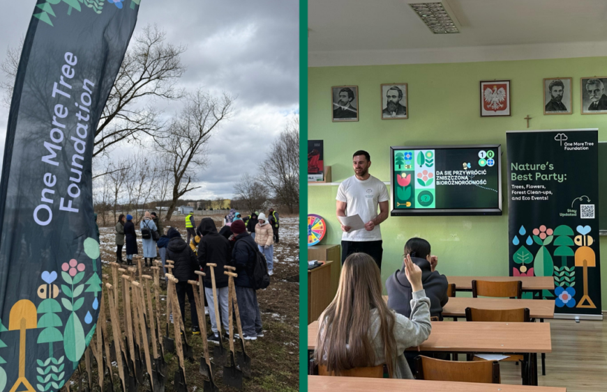 Projekt bez nazwy (30)