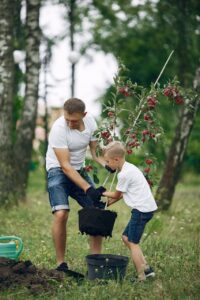 Family on a yard. Father with son planting a tree. Boy with a green funnel