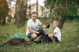 Family on a yard. Father with son planting a tree. Boy with a green funnel