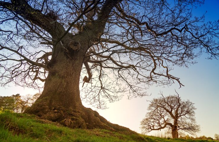 141