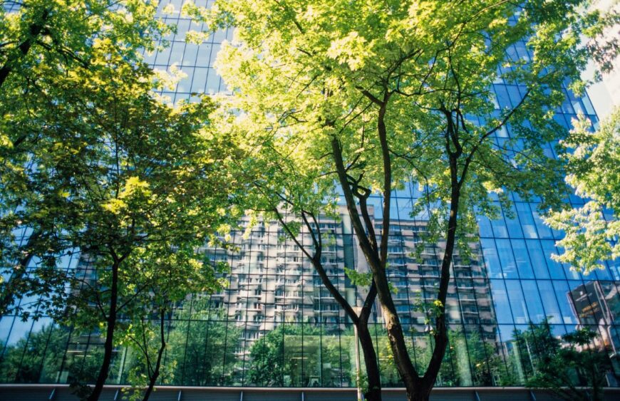 trees-city-against-sky