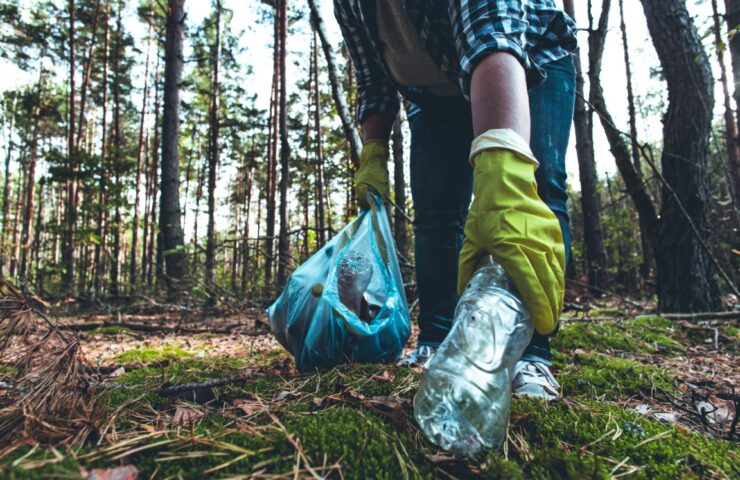 A woman with a garbage bag collects plastic garbage in the autumn forest. Saving the planet from garbage. A woman wearing protective gloves fights to save the planet from garbage.
