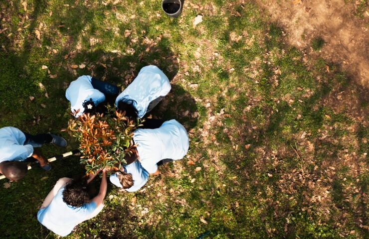 Drone shot of volunteers group planting trees and preserving nature