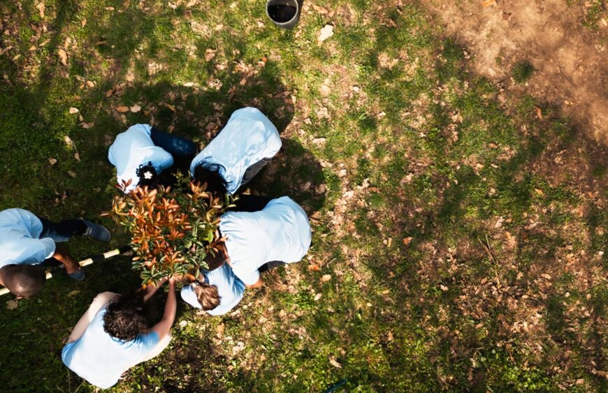 Drone shot of volunteers group planting trees and preserving nature