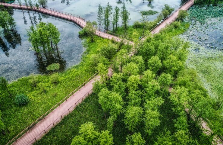 obrazek wyróżniający 1