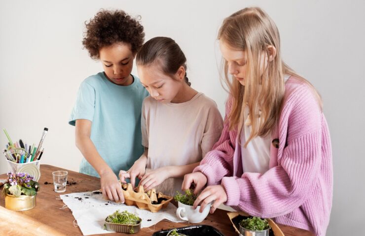 obrazek wyróżniający 2