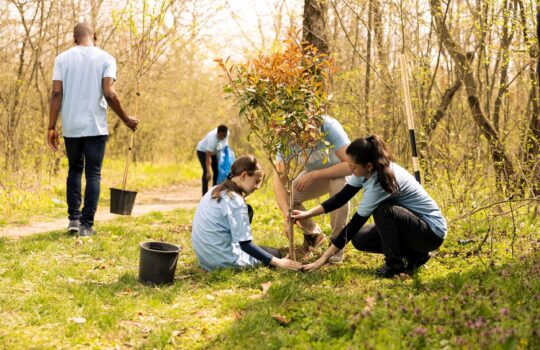 obrazekwyróżniający