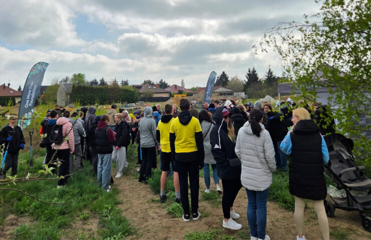 25.04
