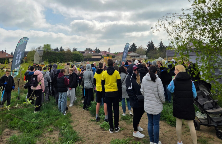 25.04