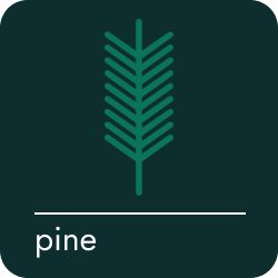 pine
